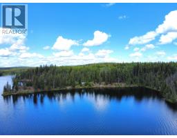 Loft - S Bednesti Lake Road, Bednesti, BC V2N6P4 Photo 7