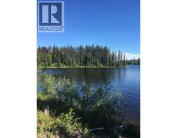 S Bednesti Lake Road, Bednesti, BC V2N6P4 Photo 28