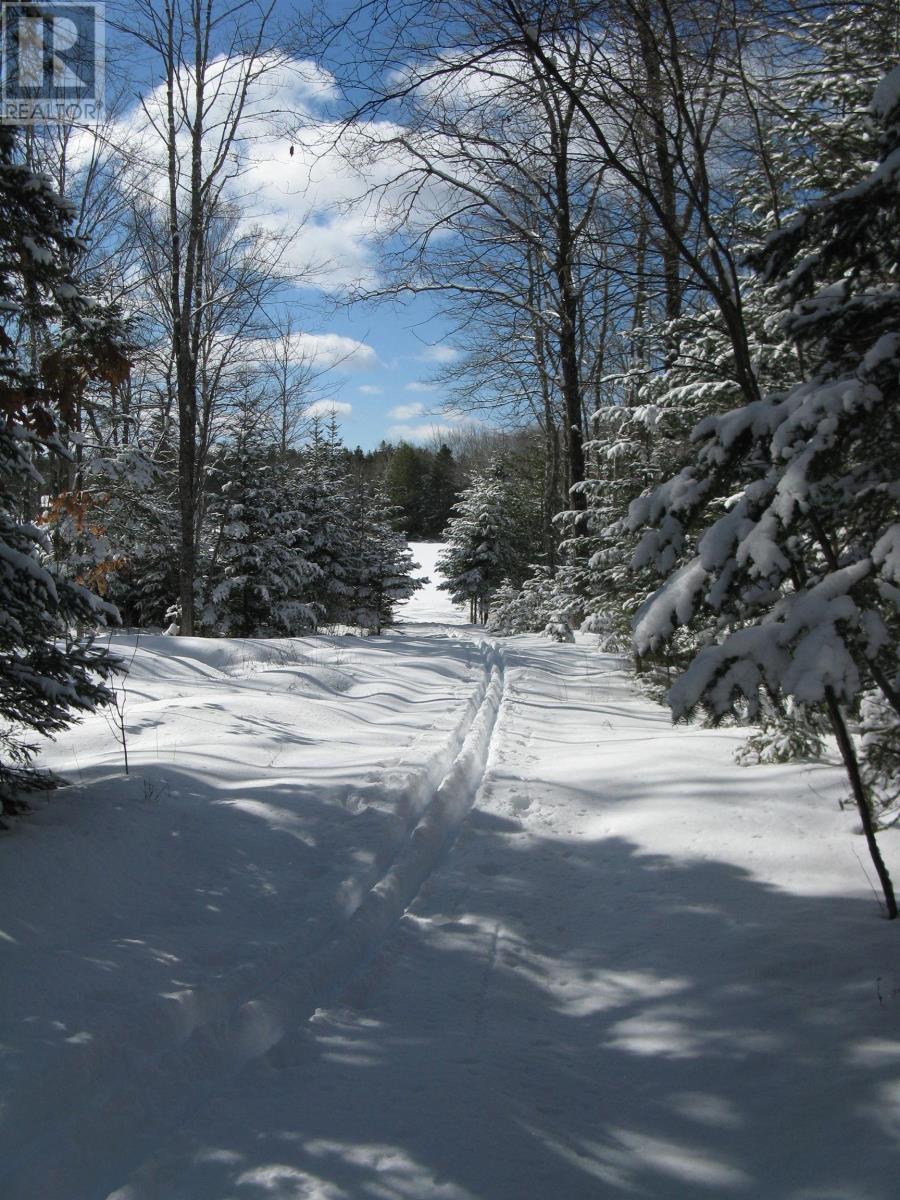 1368 East Dalhousie Road - 31