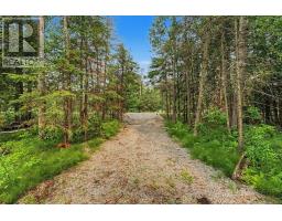 6905 County Road 21, Essa, ON L9R1V2 Photo 6