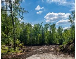6905 County Road 21, Essa, ON L9R1V2 Photo 8