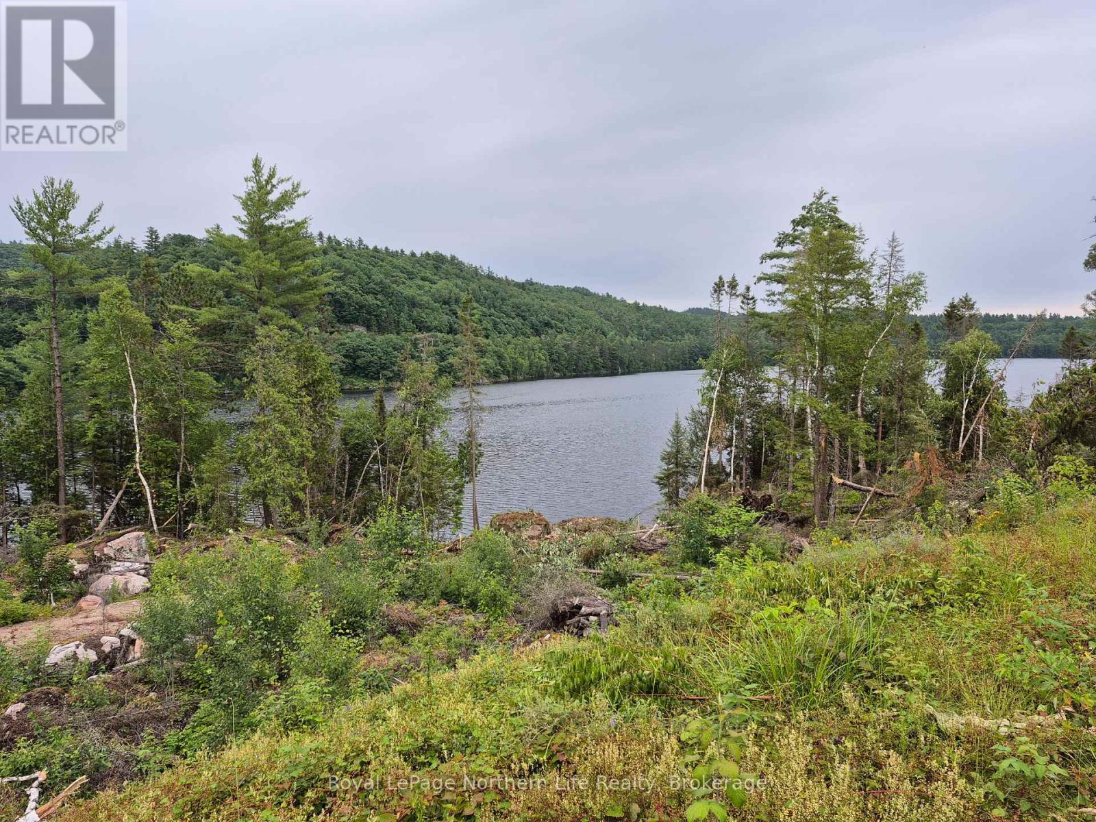 1255 SNAKE CREEK ROAD - 42
