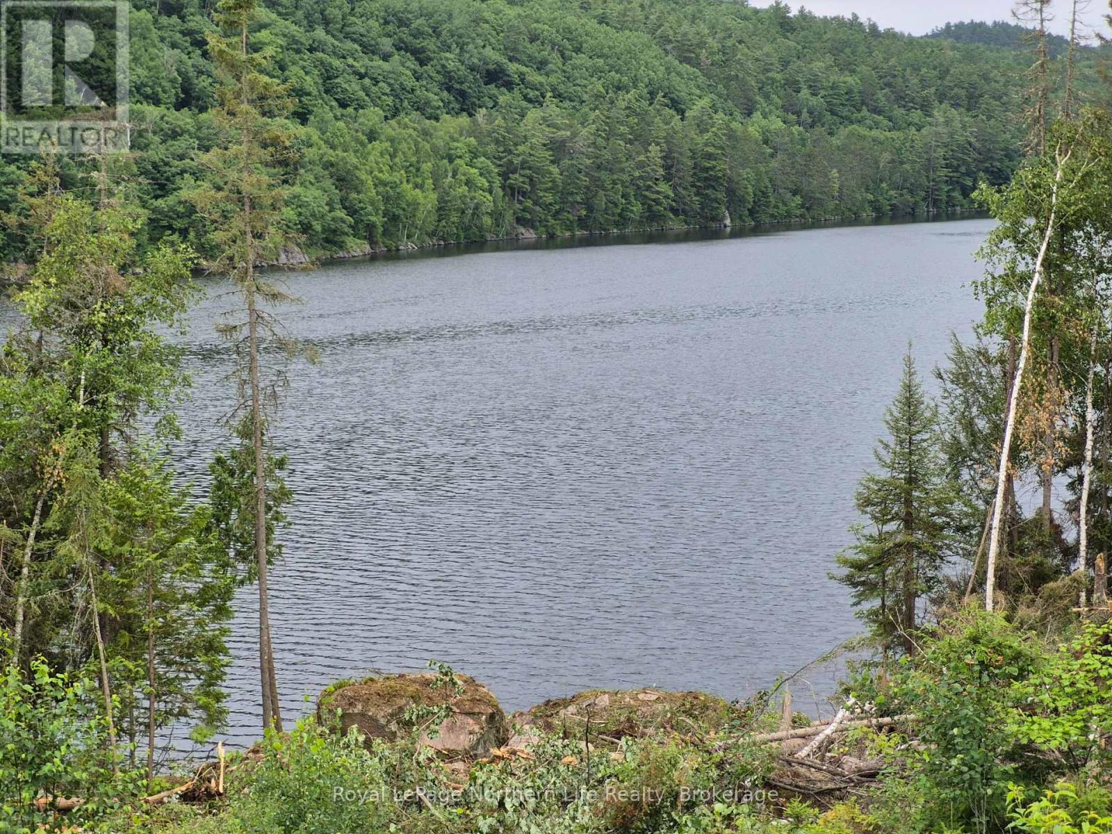 1255 SNAKE CREEK ROAD - 41
