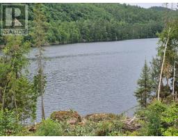 1255 Snake Creek Road, Mattawan, ON P0H1V0 Photo 41