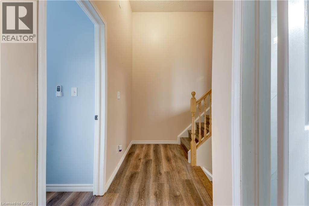 235 RED CLOVER Court - 19