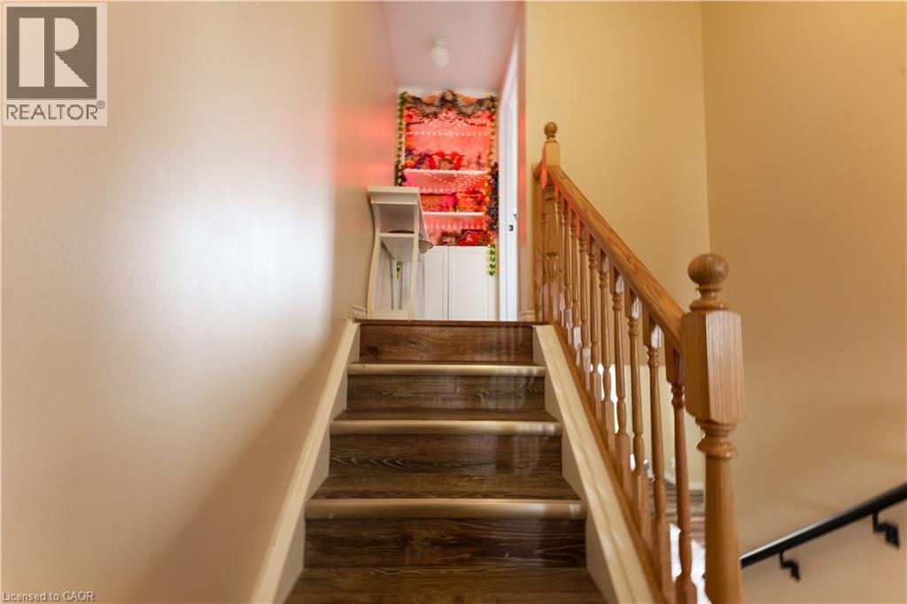 235 RED CLOVER Court - 27