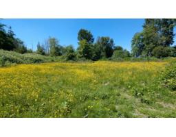 3011 184 Street, Surrey, BC V3Z9V2 Photo 19