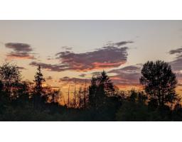 3011 184 Street, Surrey, BC V3Z9V2 Photo 13