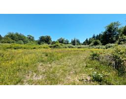 3011 184 Street, Surrey, BC V3Z9V2 Photo 21