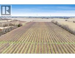 496 County Rd 34, Ruthven, ON N0P2G0 Photo 47