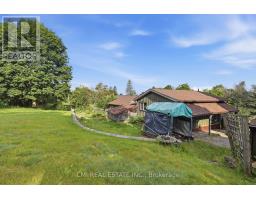 8 Jakeman Street, Kawartha Lakes, ON L0A1A0 Photo 38