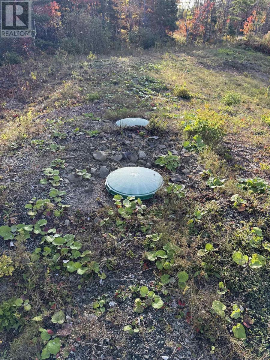 1600 Lingan Road - 48