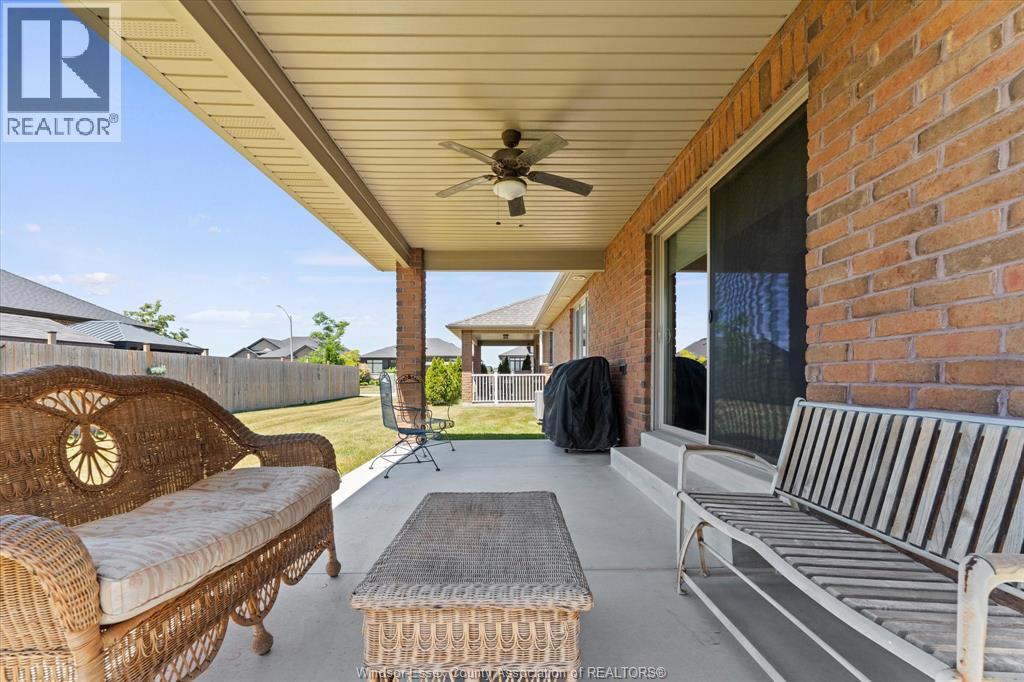 252 SERENA - Image 33