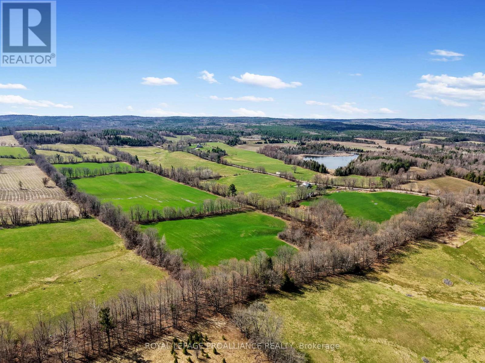 249 BRIGHT ROAD - 41