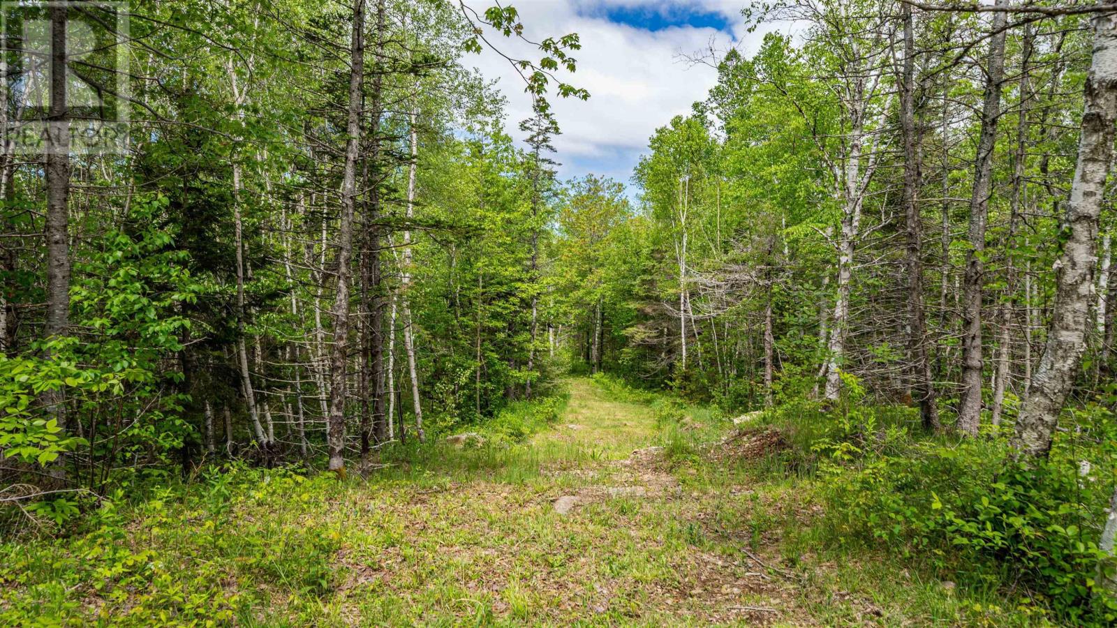 95 FOREST GLADE Road - 39