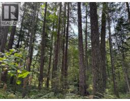 Sl7 129 Joyce Rd, Quadra Island, BC V0P1N0 Photo 13