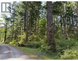 Sl7 129 Joyce Rd, Quadra Island, BC V0P1N0 Photo 18