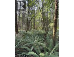 Sl7 129 Joyce Rd, Quadra Island, BC V0P1N0 Photo 14