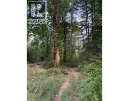 Sl7 129 Joyce Rd, Quadra Island, BC V0P1N0 Photo 9