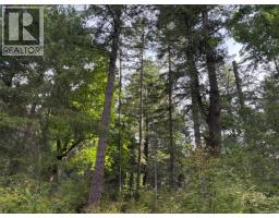 Sl7 129 Joyce Rd, Quadra Island, BC V0P1N0 Photo 11