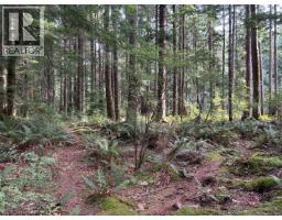 Sl7 129 Joyce Rd, Quadra Island, BC V0P1N0 Photo 12