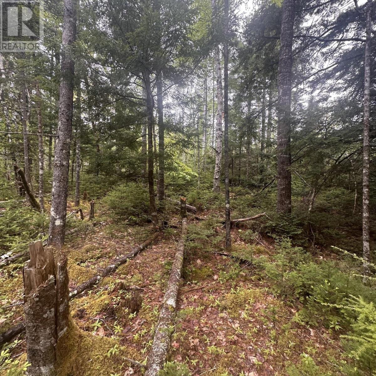 Lot 22 Moose Pit Road, Westfield — photo 2
