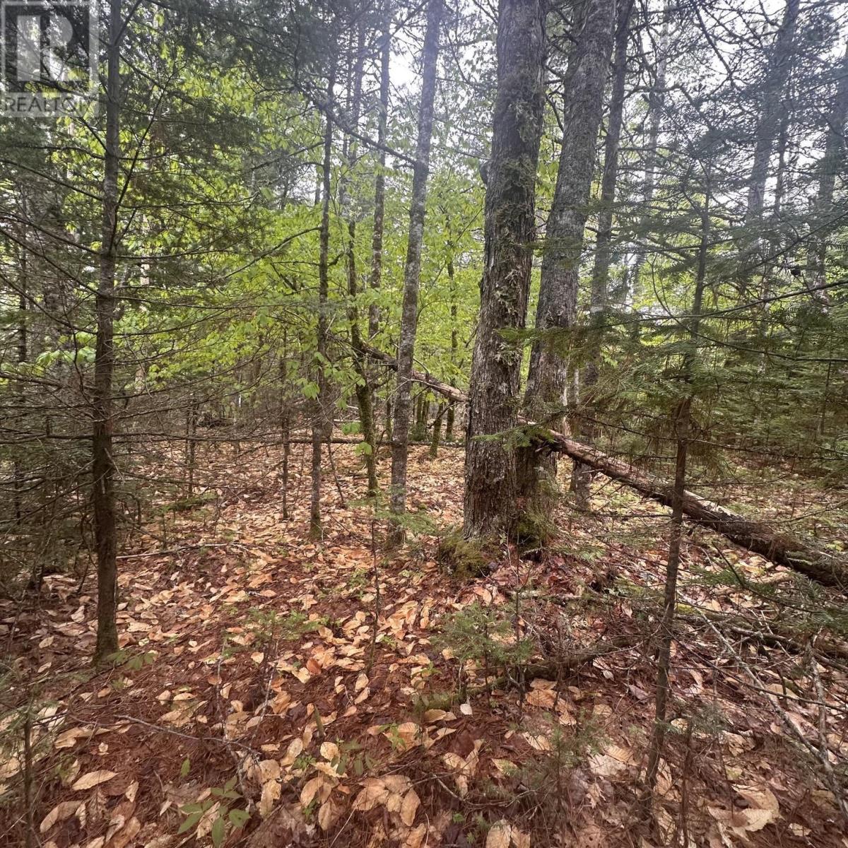 Lot 22 Moose Pit Road, Westfield — photo 3