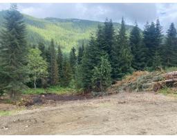 20488 Edelweiss Drive, Mission, BC V0M1A1 Photo 17