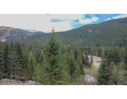 20488 Edelweiss Drive, Mission, BC V0M1A1 Photo 9