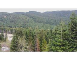 20488 Edelweiss Drive, Mission, BC V0M1A1 Photo 10