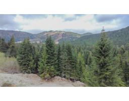 20488 Edelweiss Drive, Mission, BC V0M1A1 Photo 8