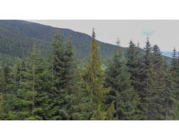 20488 Edelweiss Drive, Mission, BC V0M1A1 Photo 11