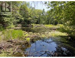 5822 Line 8 N, Oro Medonte, ON L0K1N0 Photo 10