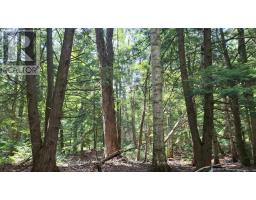 5822 Line 8 N, Oro Medonte, ON L0K1N0 Photo 13