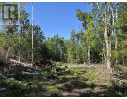 5822 Line 8 N, Oro Medonte, ON L0K1N0 Photo 14
