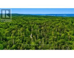 5822 Line 8 N, Oro Medonte, ON L0K1N0 Photo 6