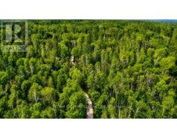 5822 Line 8 N, Oro Medonte, ON L0K1N0 Photo 7