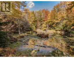 5822 Line 8 N, Oro Medonte, ON L0K1N0 Photo 8