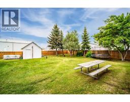4911 51 Street, Czar, AB T0B0Z0 Photo 23