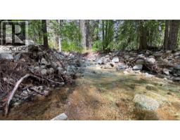 3172 Coalmont Road, Tulameen, BC V0X2L0 Photo 18