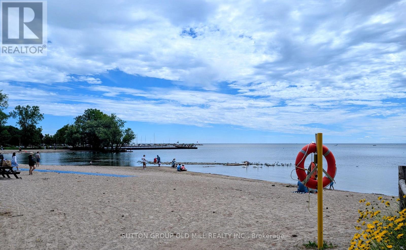 262 CHALMERS STREET - 44