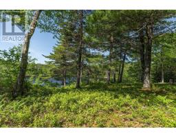 799 Coldstream Road, East Quinan, NS B0W3M0 Photo 26