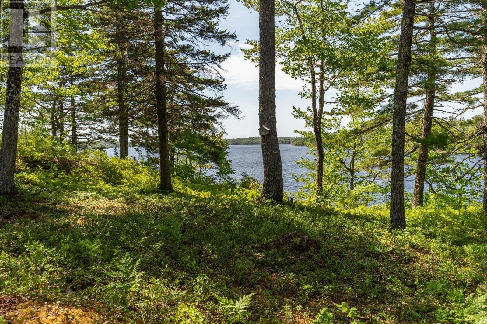 799 Coldstream Road - 29