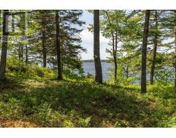 799 Coldstream Road, East Quinan, NS B0W3M0 Photo 29