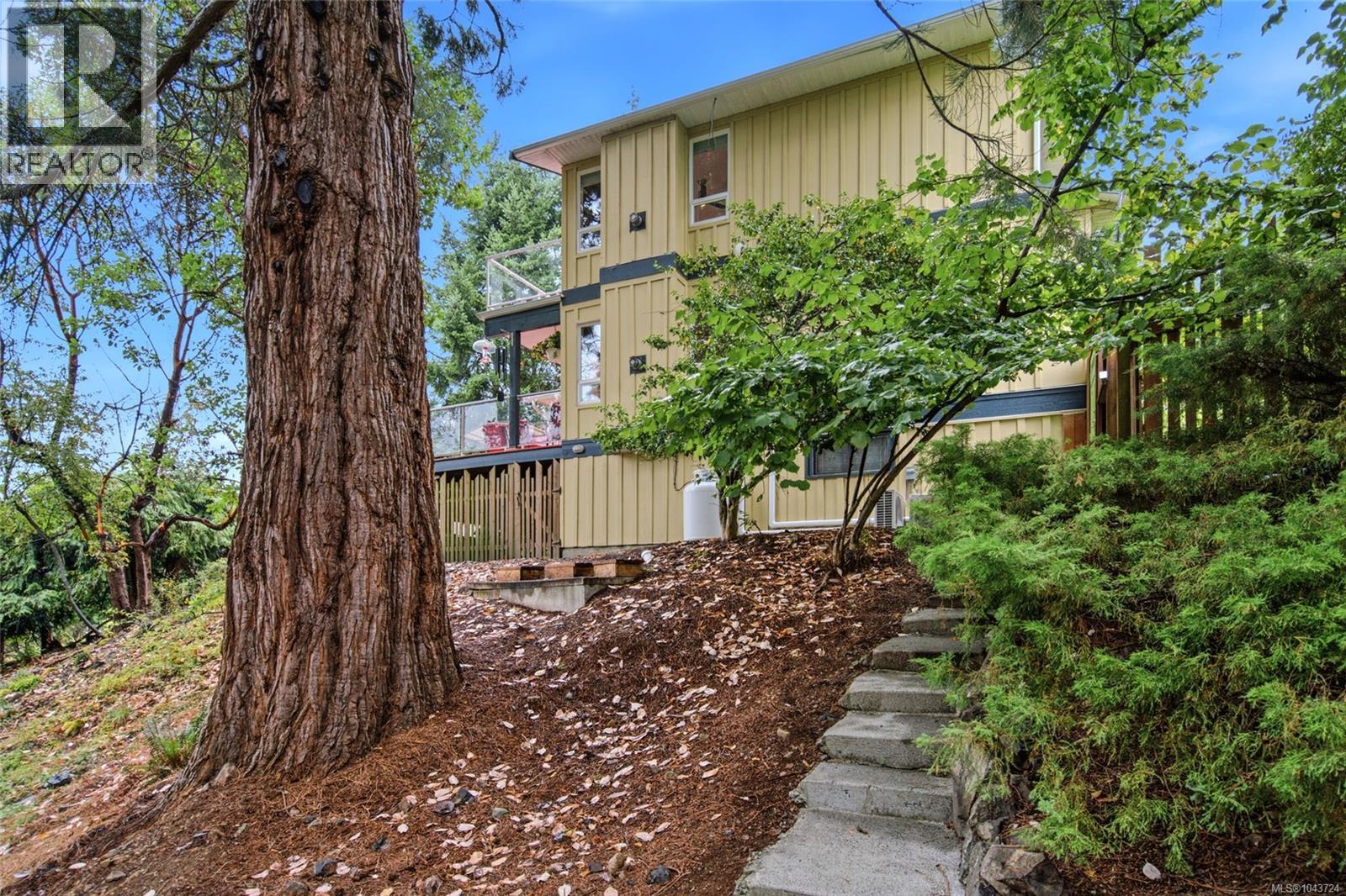 3259 Dolphin Dr - 65