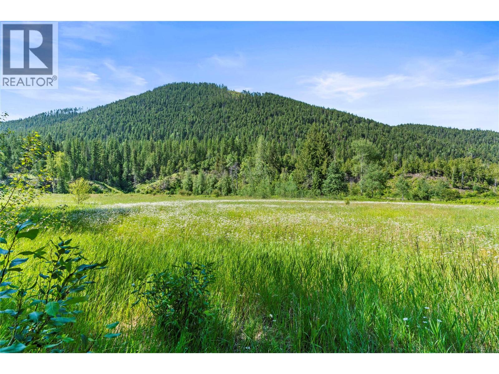 1370 Creighton Valley Road - 66