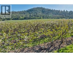 9820 Rippen Avenue, Summerland, BC V0H1Z8 Photo 30