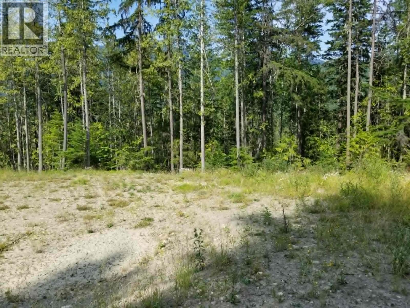 Lot 1 Brouse Loop Road, Nakusp