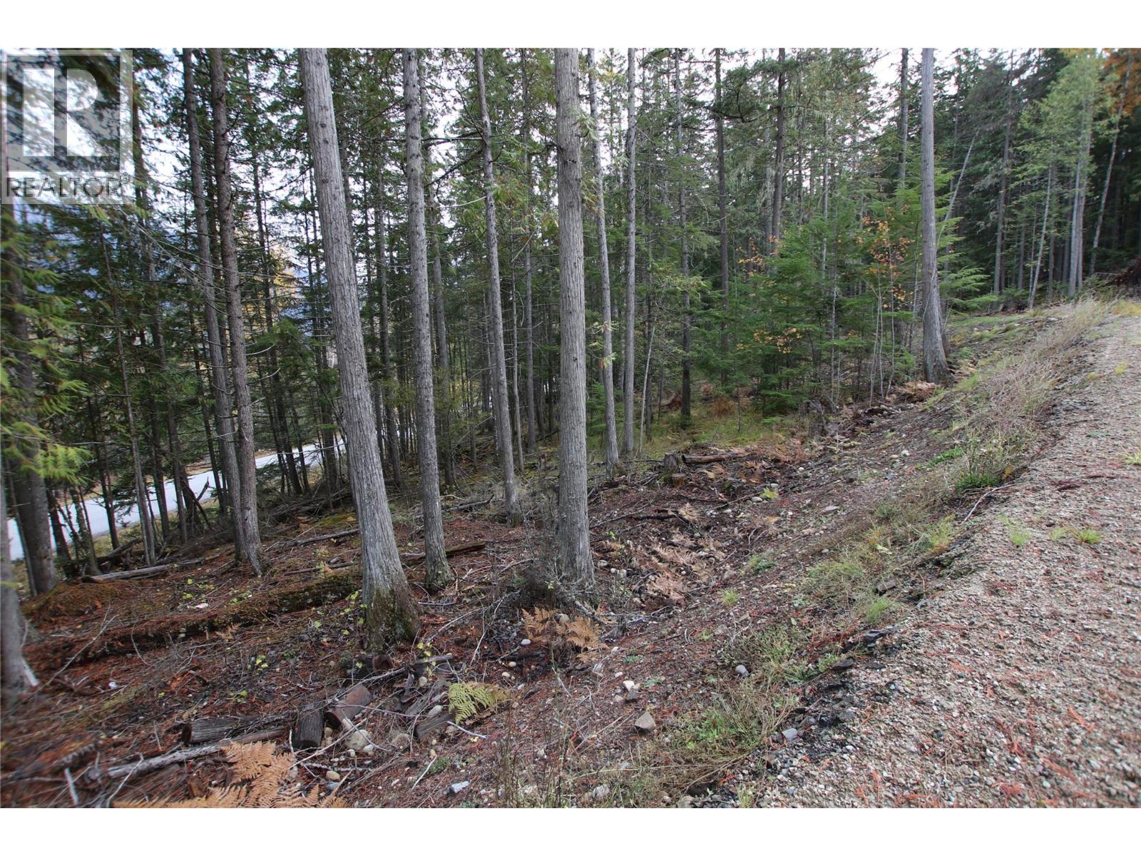 Lot 1 Brouse Loop Road, Nakusp