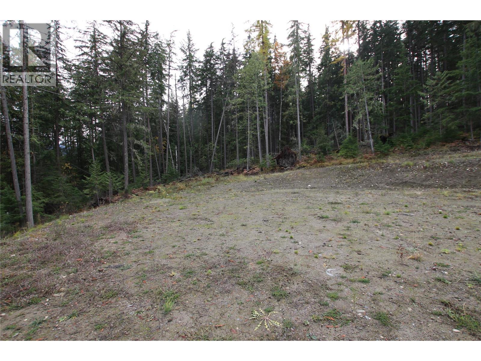 Lot 1 Brouse Loop Road, Nakusp